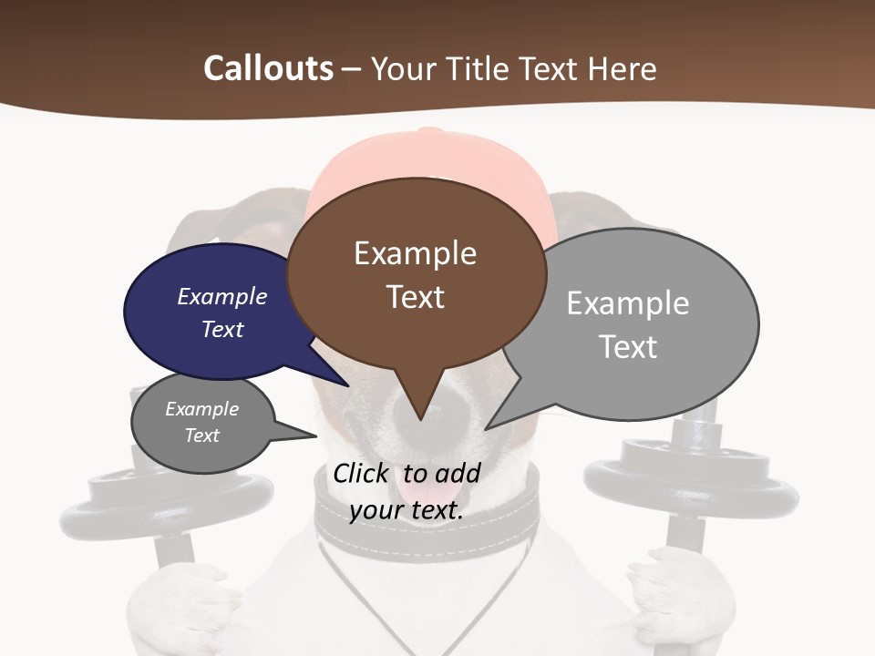 Animal Terrier Exercise PowerPoint Template