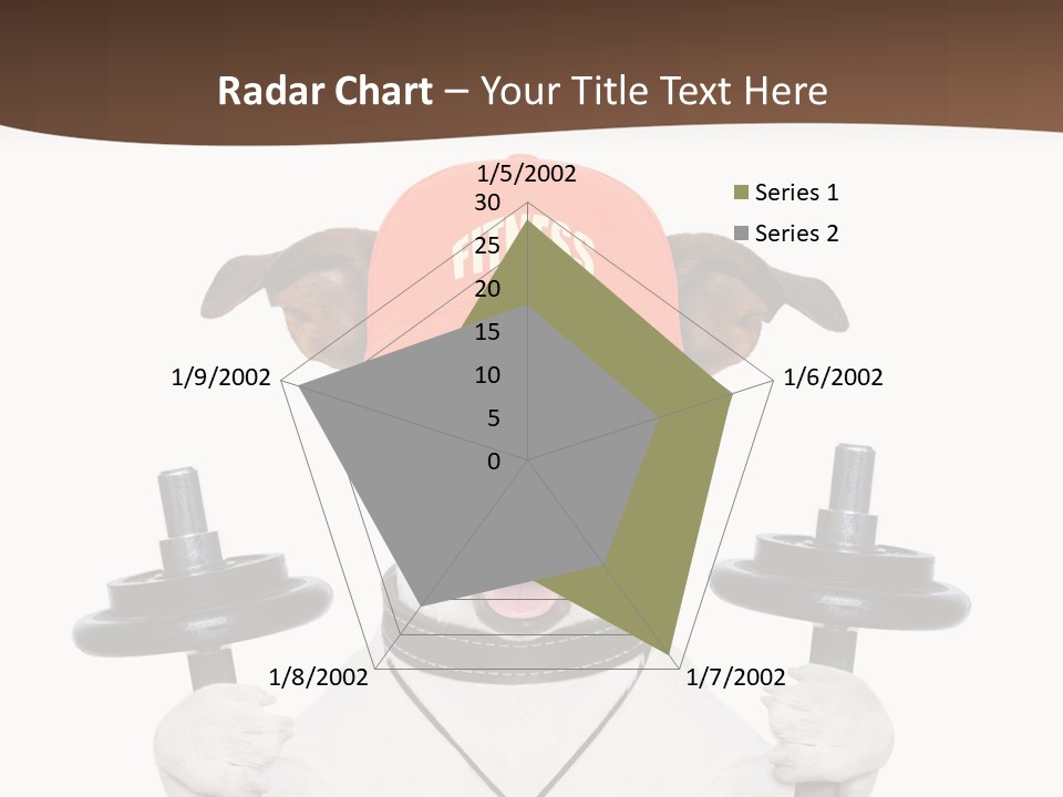 Animal Terrier Exercise PowerPoint Template