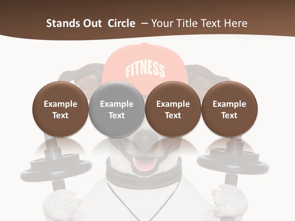 Animal Terrier Exercise PowerPoint Template