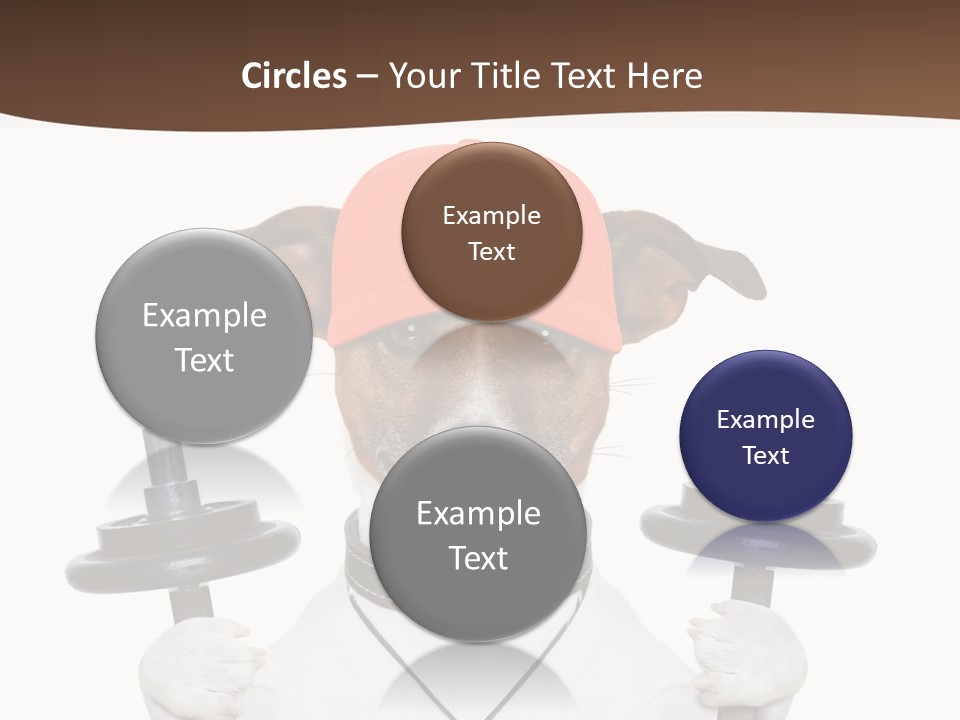 Animal Terrier Exercise PowerPoint Template