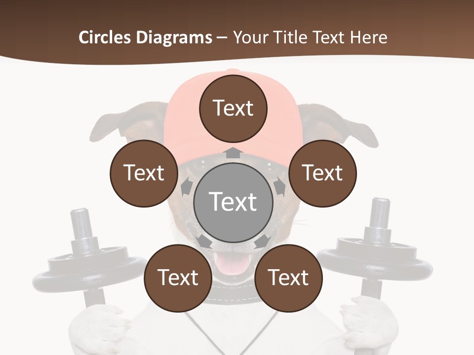 Animal Terrier Exercise PowerPoint Template