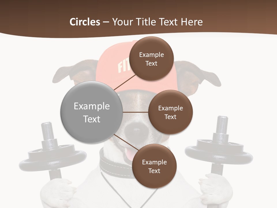 Animal Terrier Exercise PowerPoint Template