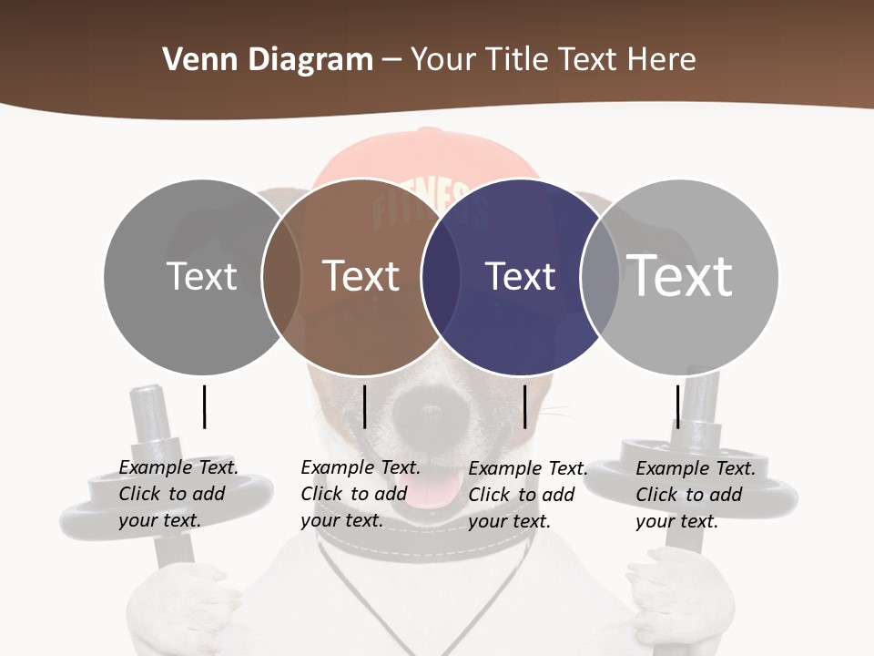 Animal Terrier Exercise PowerPoint Template