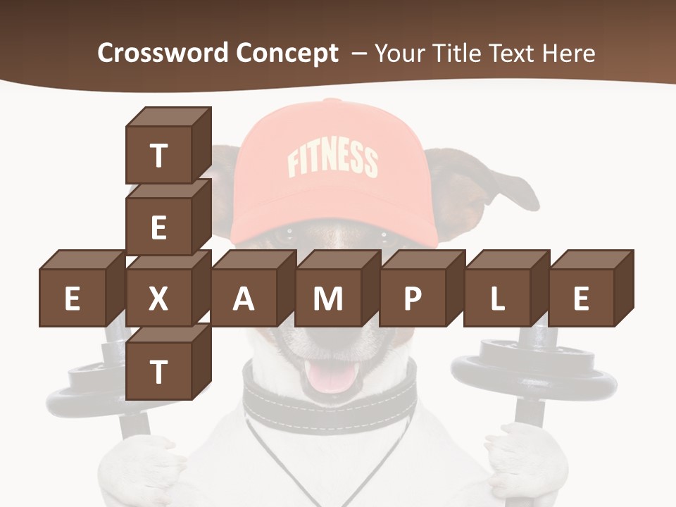 Animal Terrier Exercise PowerPoint Template