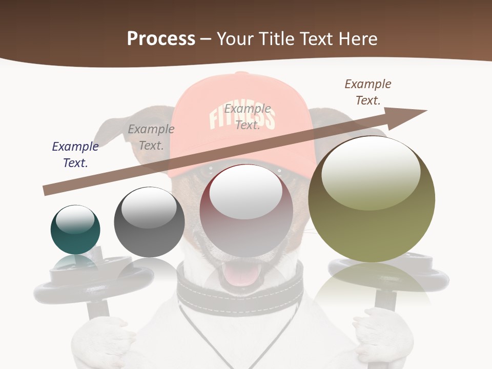 Animal Terrier Exercise PowerPoint Template