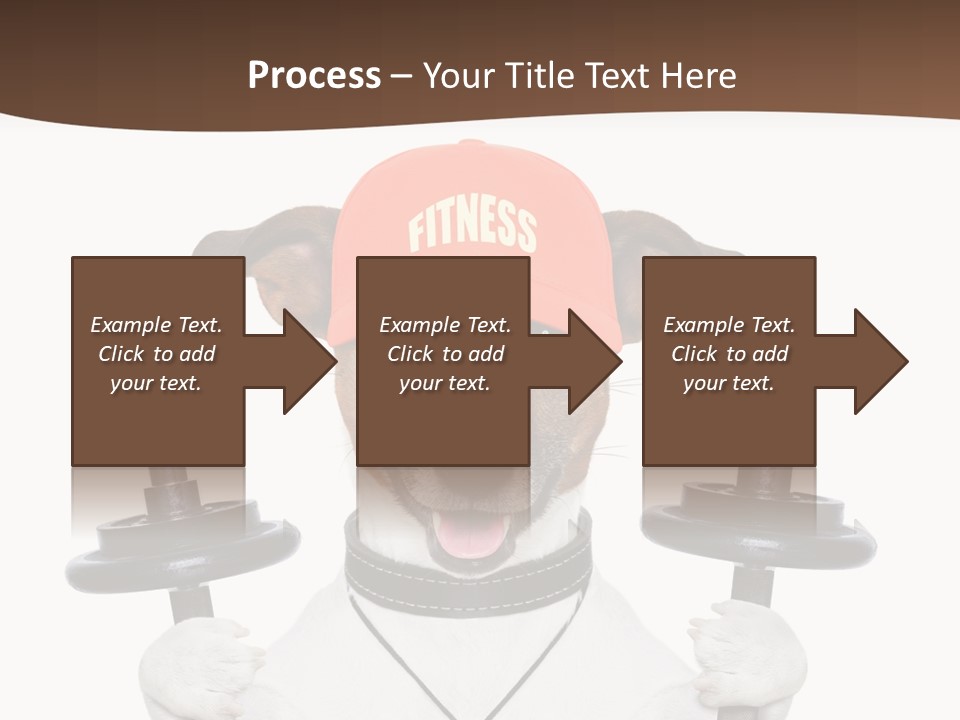 Animal Terrier Exercise PowerPoint Template
