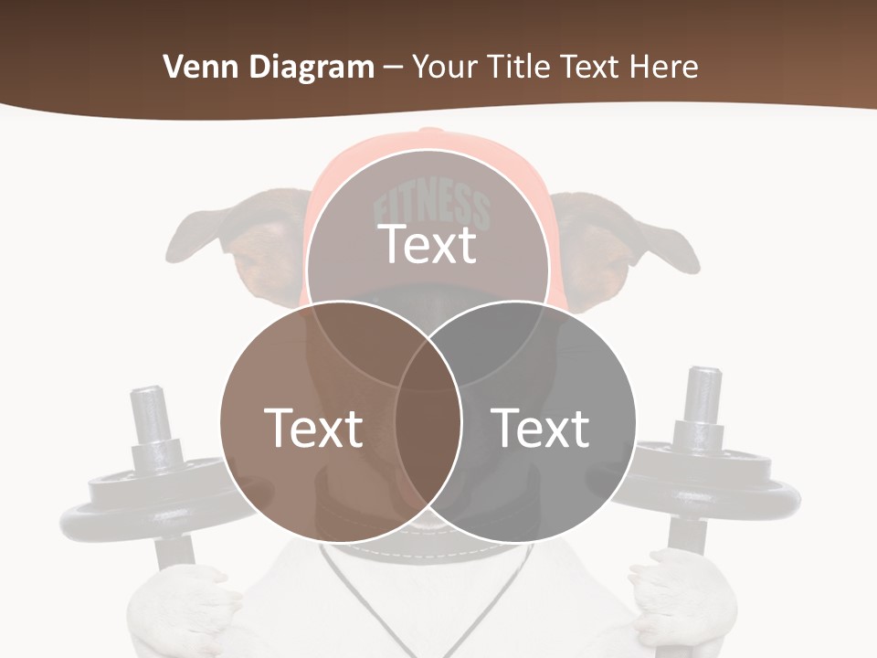 Animal Terrier Exercise PowerPoint Template