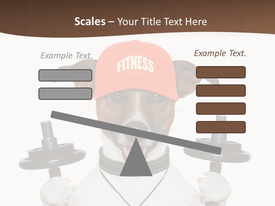 Animal Terrier Exercise PowerPoint Template