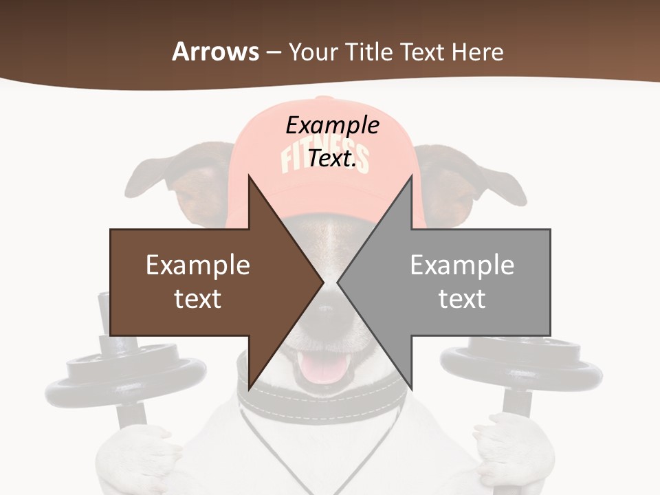 Animal Terrier Exercise PowerPoint Template