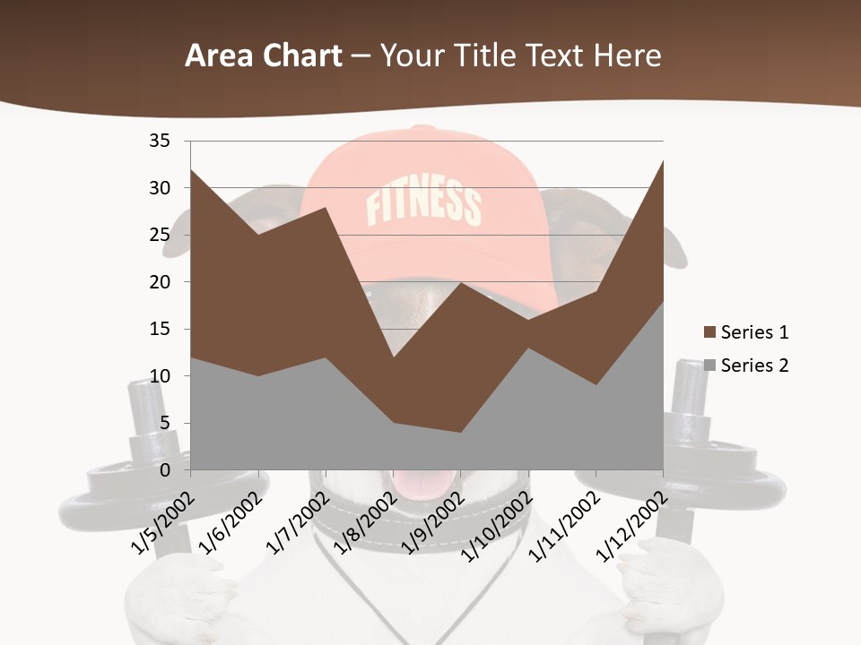 Animal Terrier Exercise PowerPoint Template