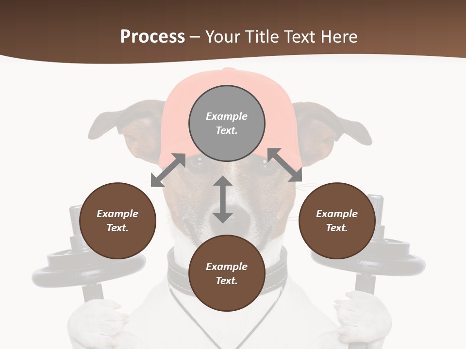 Animal Terrier Exercise PowerPoint Template