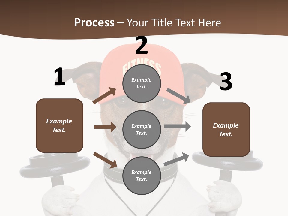 Animal Terrier Exercise PowerPoint Template