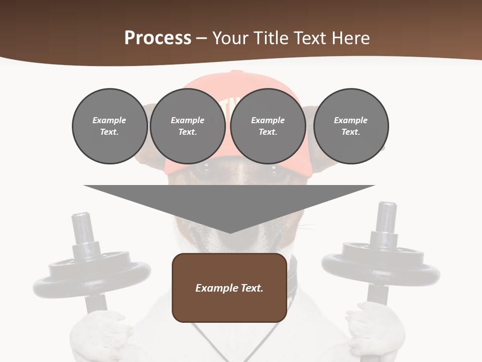 Animal Terrier Exercise PowerPoint Template