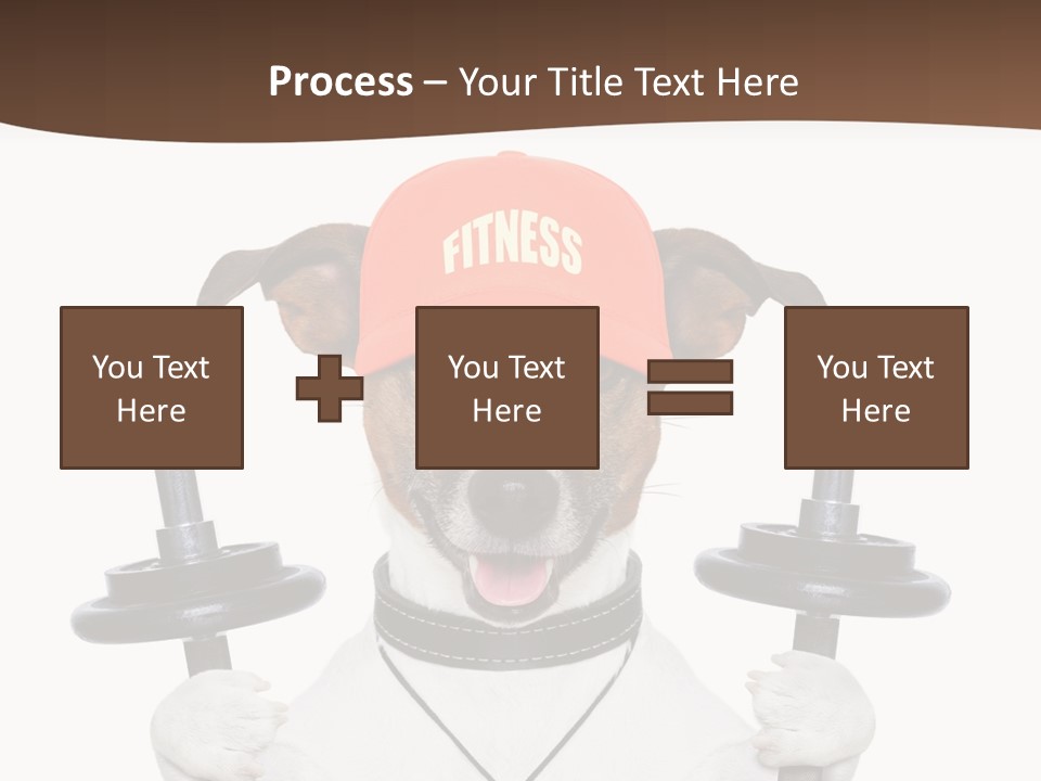 Animal Terrier Exercise PowerPoint Template