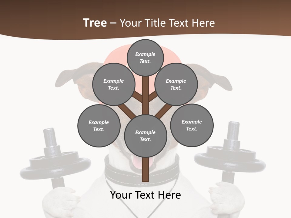 Animal Terrier Exercise PowerPoint Template