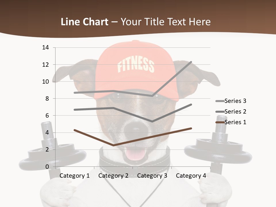 Animal Terrier Exercise PowerPoint Template