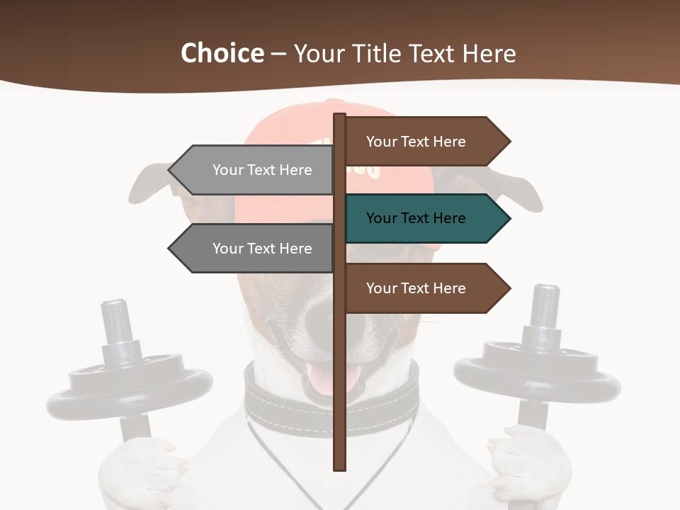 Animal Terrier Exercise PowerPoint Template