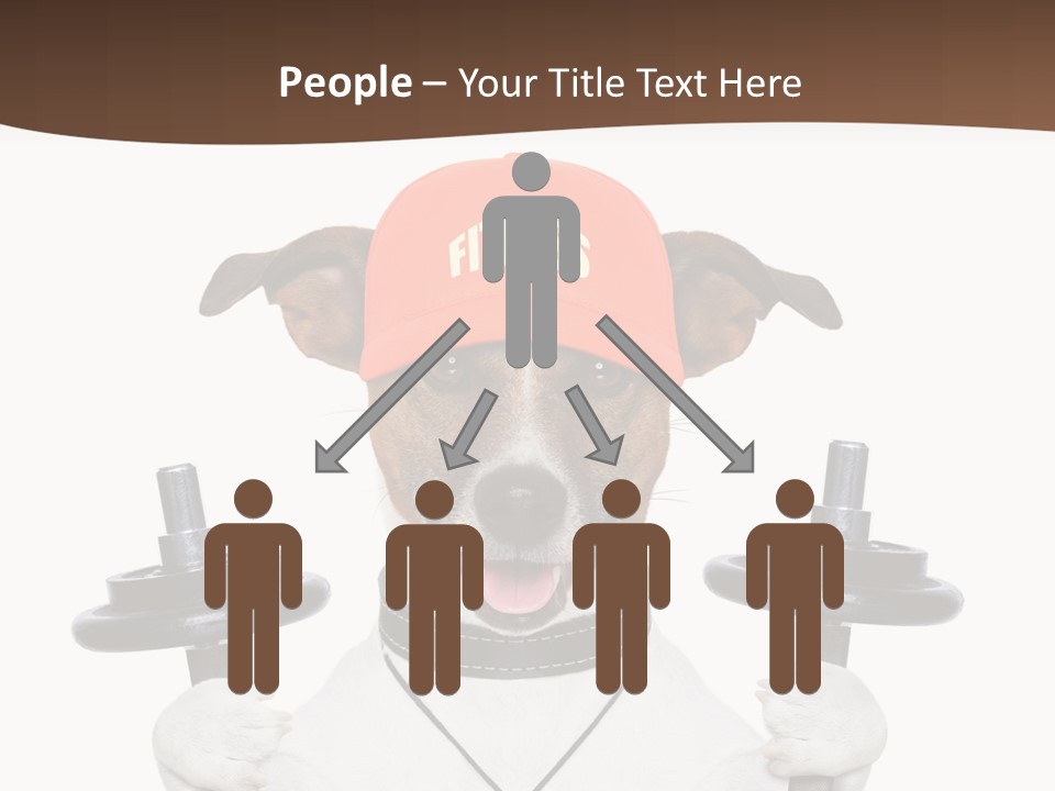 Animal Terrier Exercise PowerPoint Template