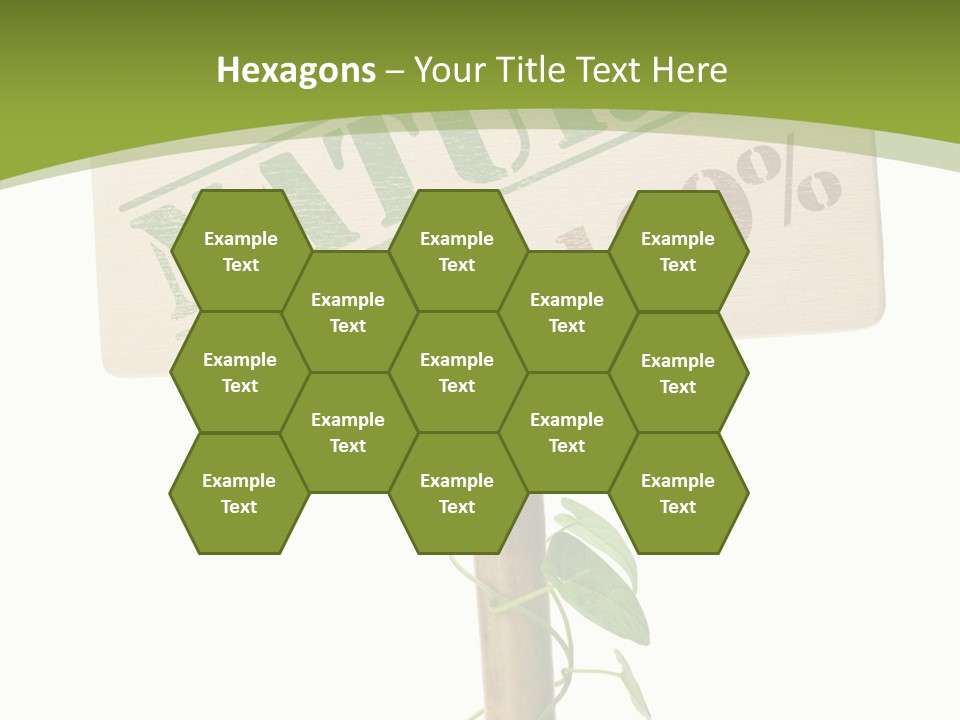 Food Message Environmental PowerPoint Template