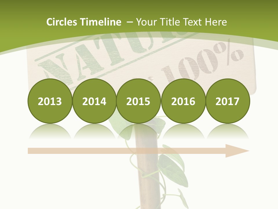 Food Message Environmental PowerPoint Template