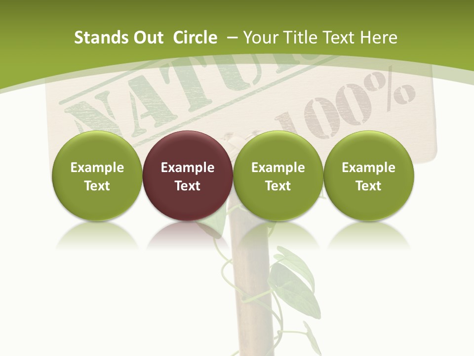 Food Message Environmental PowerPoint Template