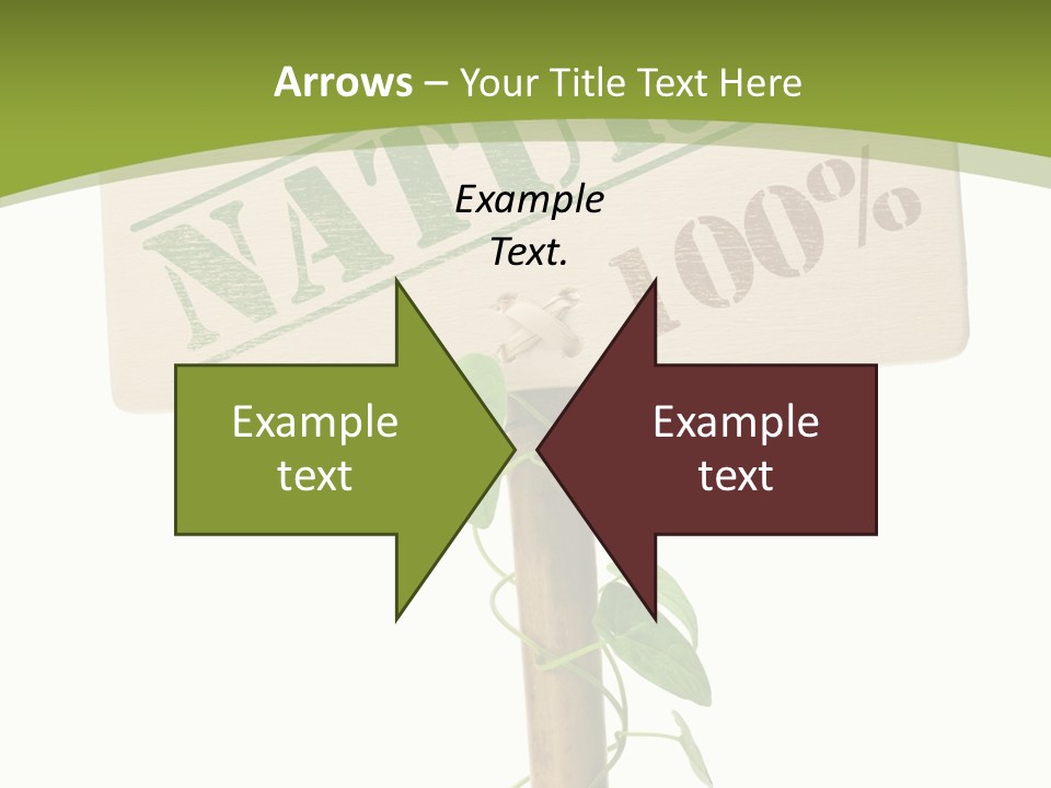 Food Message Environmental PowerPoint Template