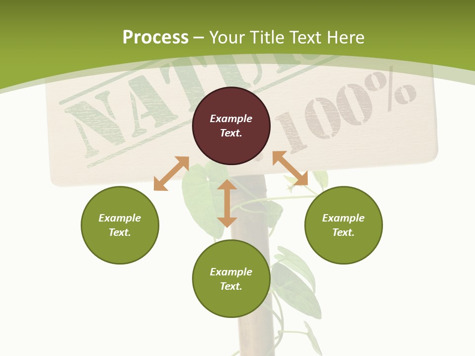 Food Message Environmental PowerPoint Template