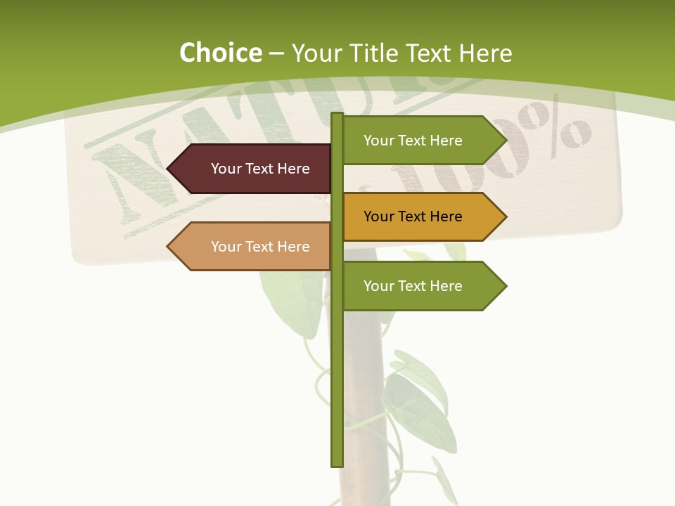 Food Message Environmental PowerPoint Template