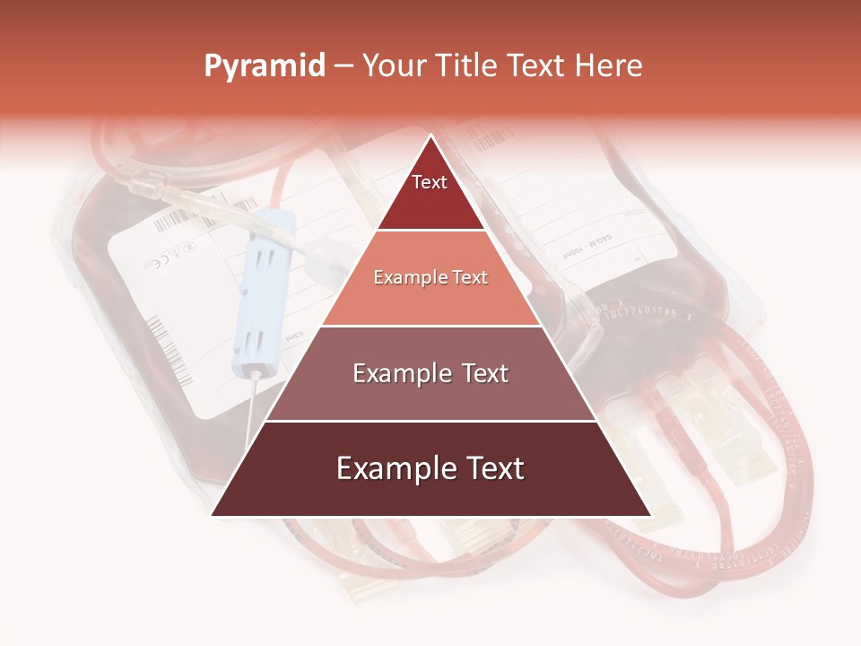 Transfuse Healthcare Systems PowerPoint Template