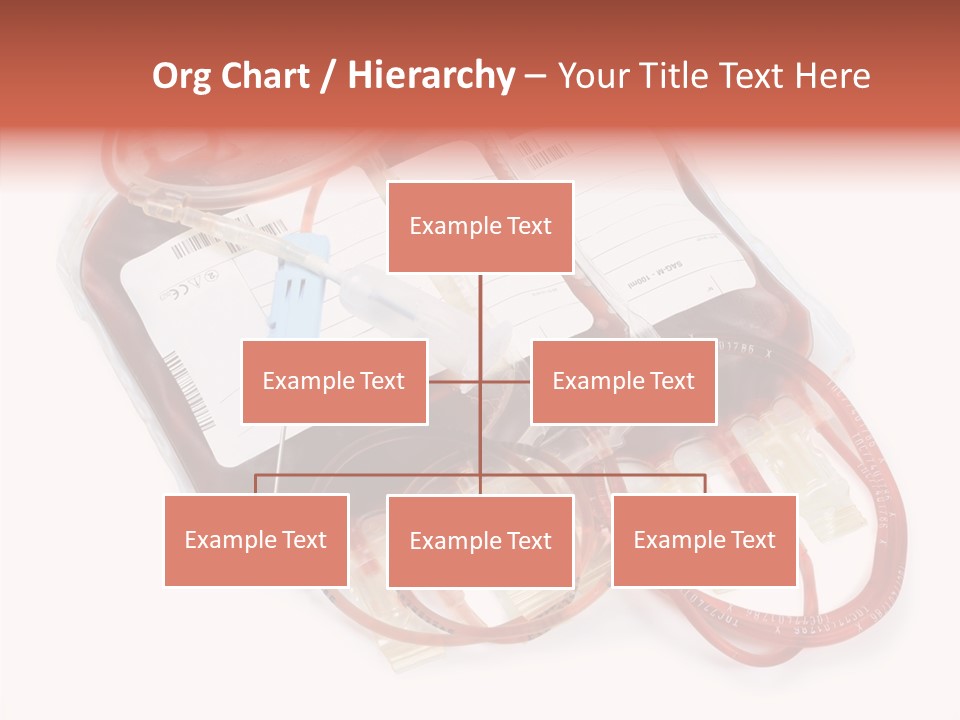 Transfuse Healthcare Systems PowerPoint Template