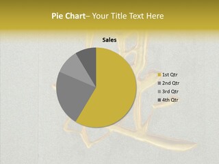 Yellow Icon Silk PowerPoint Template