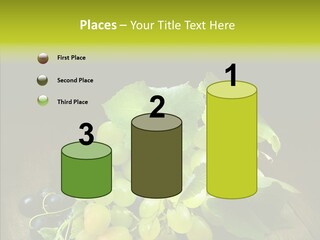 Vivid Vegetation Grape PowerPoint Template