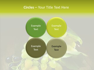Vivid Vegetation Grape PowerPoint Template