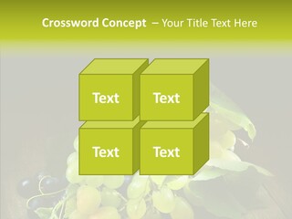 Vivid Vegetation Grape PowerPoint Template