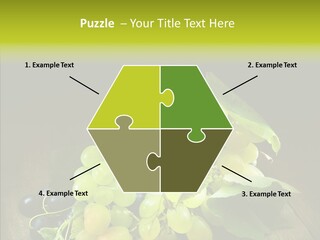 Vivid Vegetation Grape PowerPoint Template