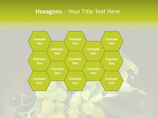 Vivid Vegetation Grape PowerPoint Template