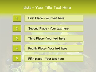 Vivid Vegetation Grape PowerPoint Template