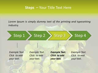 Vivid Vegetation Grape PowerPoint Template
