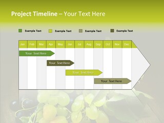 Vivid Vegetation Grape PowerPoint Template