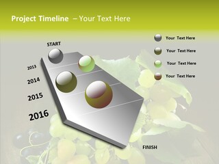 Vivid Vegetation Grape PowerPoint Template