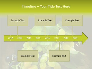 Vivid Vegetation Grape PowerPoint Template