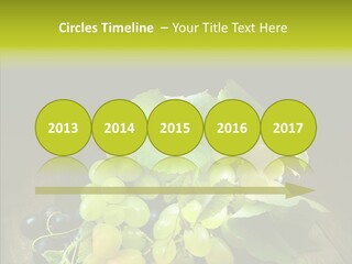 Vivid Vegetation Grape PowerPoint Template