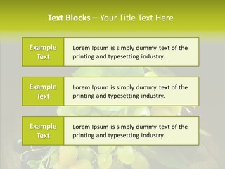Vivid Vegetation Grape PowerPoint Template