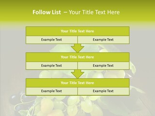 Vivid Vegetation Grape PowerPoint Template