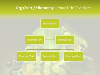 Vivid Vegetation Grape PowerPoint Template
