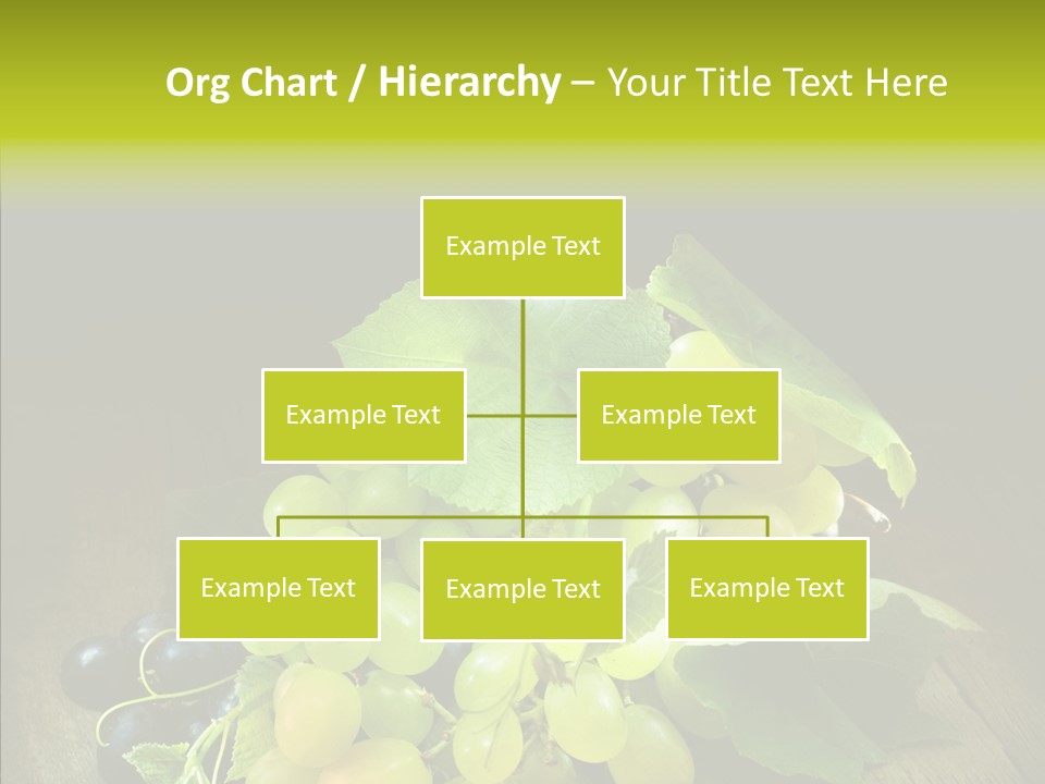 Vivid Vegetation Grape PowerPoint Template