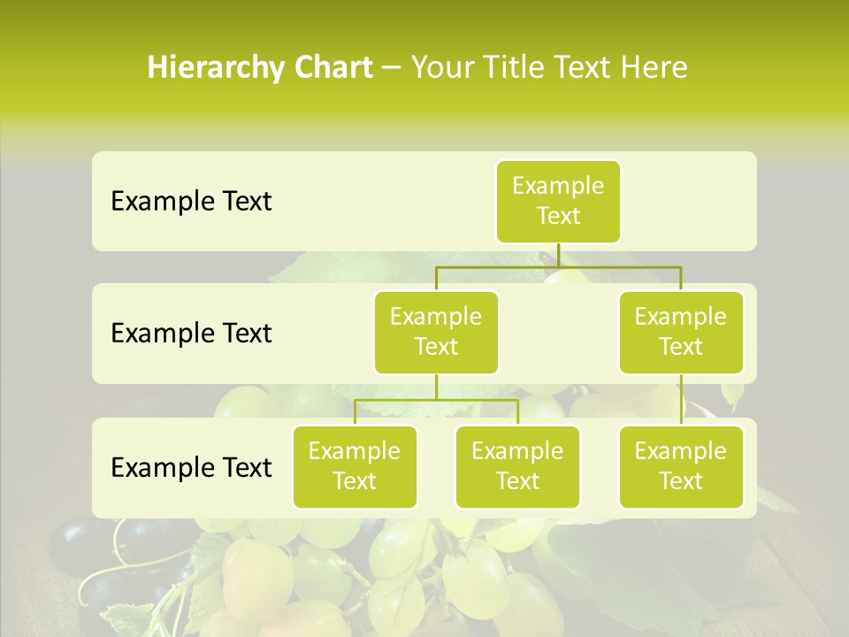 Vivid Vegetation Grape PowerPoint Template