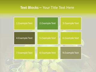 Vivid Vegetation Grape PowerPoint Template