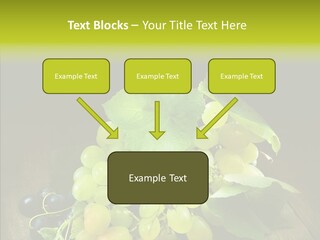 Vivid Vegetation Grape PowerPoint Template