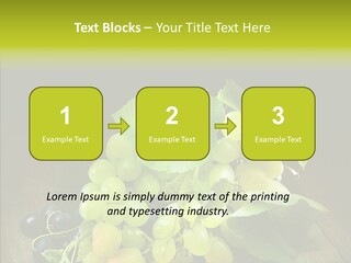 Vivid Vegetation Grape PowerPoint Template